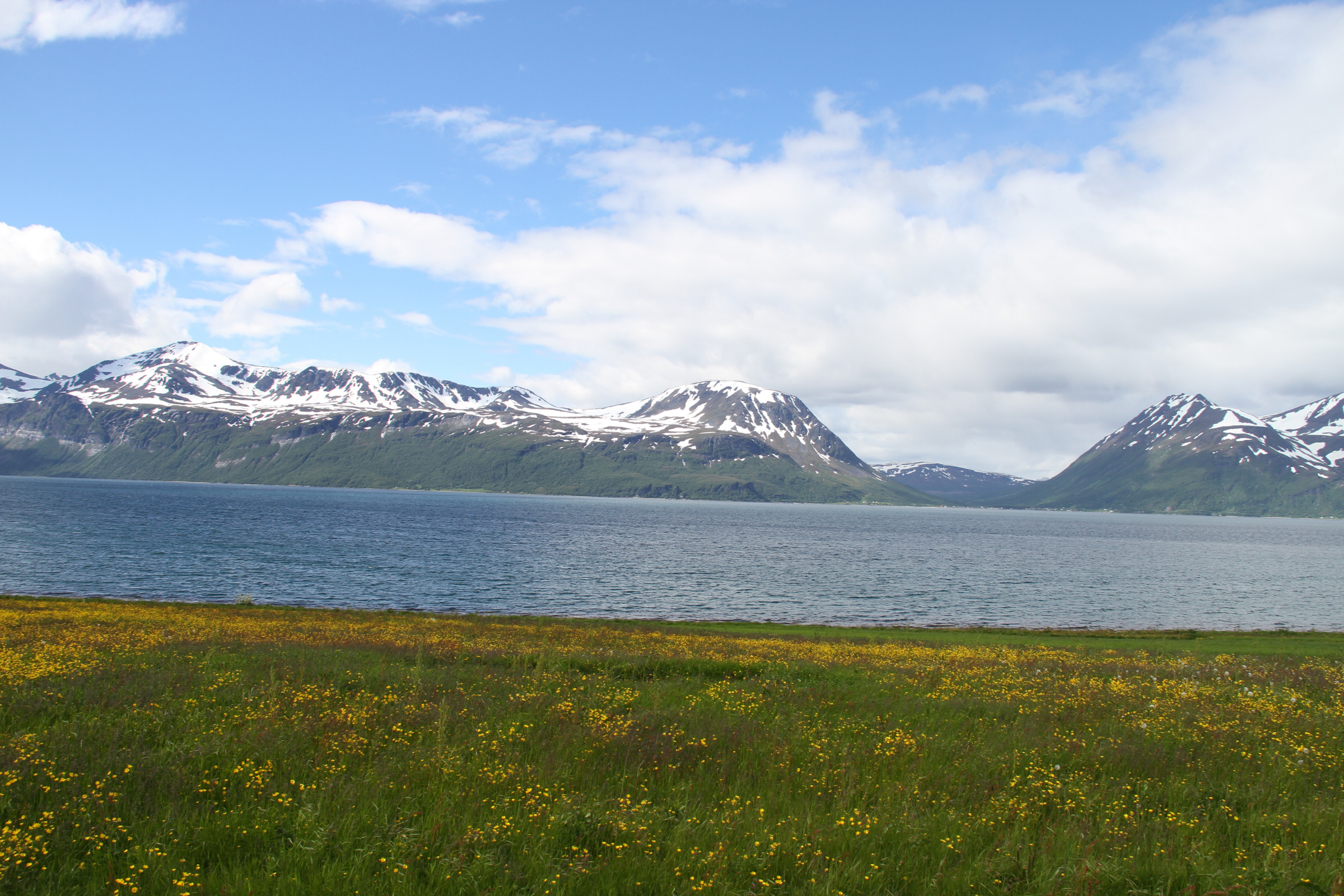 lyngen alps (2).webp